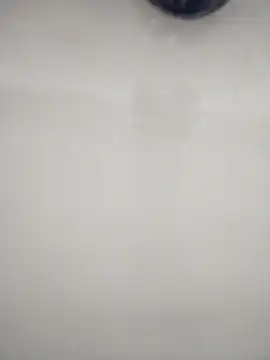 Snapshot of macariocb chatting on 02/08/26, 02:20 macariocb online show from 02/08/26, 02:20