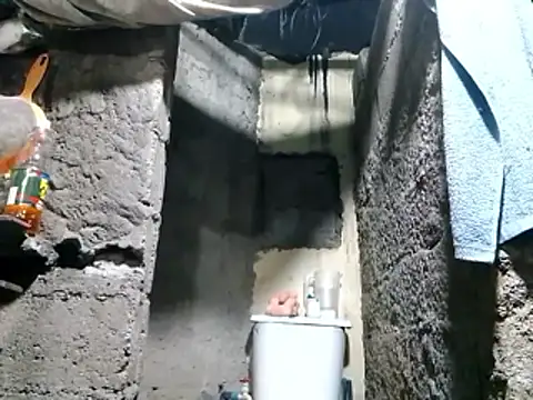 polla large active online show from 04/11/26, 12:26