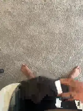 jose vnzla online show from 03/05/26, 07:21