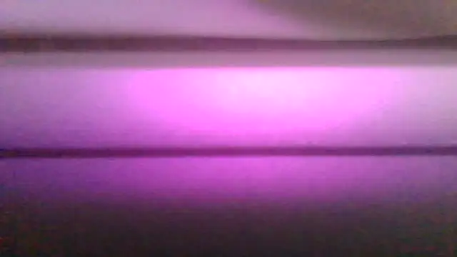 kaimsdecadus555 online show from 02/12/26, 11:55