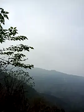 cuunon11 online show from 03/01/26, 12:45