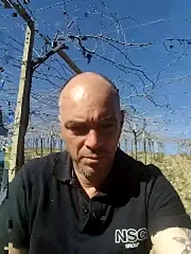 circott online show from 02/22/26, 12:15