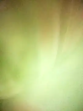 BIG QWEEN NO1 online show from 02/20/26, 06:37