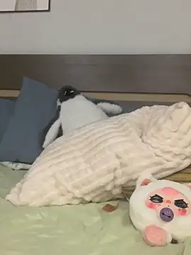 Rin-yiyi online show from 03/08/26, 02:21