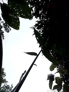 Linka998 online show from 04/03/26, 11:14