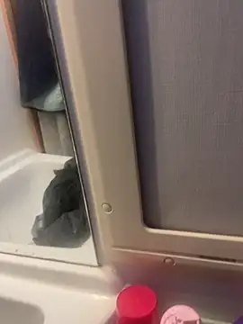 stallone italiano 62 online show from 02/26/26, 06:56