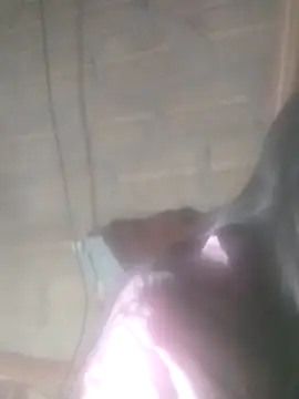 Yang-my- online show from 02/13/26, 03:08