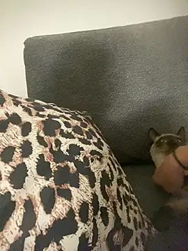 little dreamer  online show from 03/09/26, 07:18