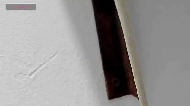 Criistal castro online show from 04/06/26, 11:33