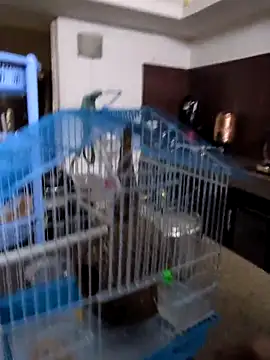 Snapshot of sexysilmy chatting on 02/25/26, 08:35 sexysilmy online show from 02/25/26, 08:35