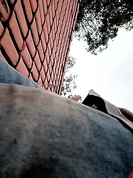 nego5628 online show from 04/01/26, 12:06