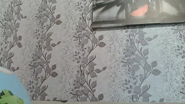 Shailadiess online show from 05/18/26, 07:14