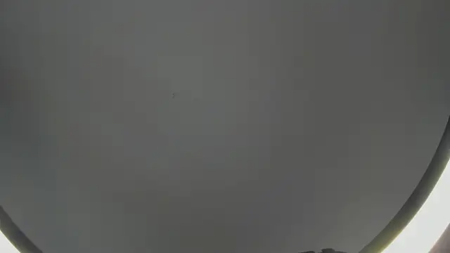 SinLickerr online show from 02/18/26, 07:43