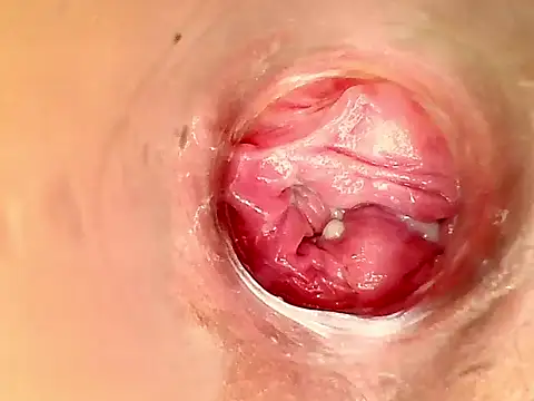 karol kane online show from 02/11/26, 03:17