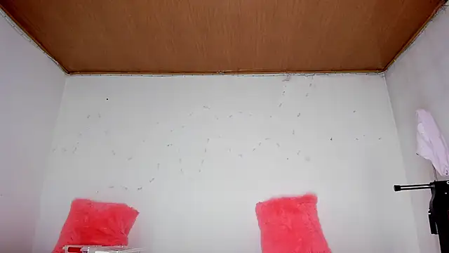 karol kane online show from 02/13/26, 03:19