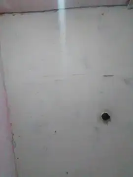 cobrosdepagos online show from 02/19/26, 01:56