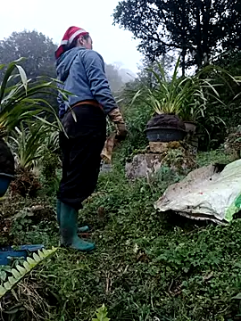 nelina 12345 online show from 02/13/26, 10:44