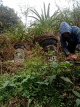 nelina 12345 online show from 02/15/26, 09:08