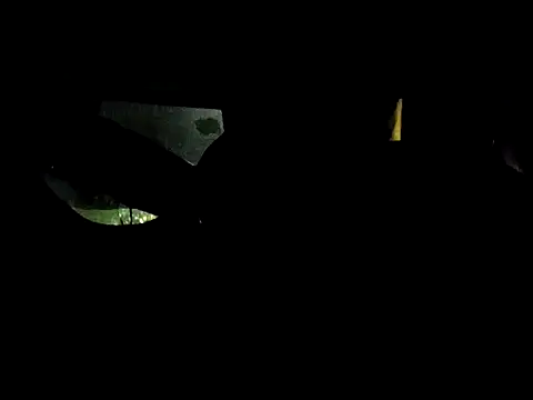 dustbunny64 online show from 06/25/26, 11:04