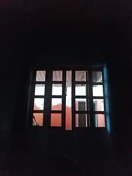 vinicius ribas online show from 02/15/26, 03:09