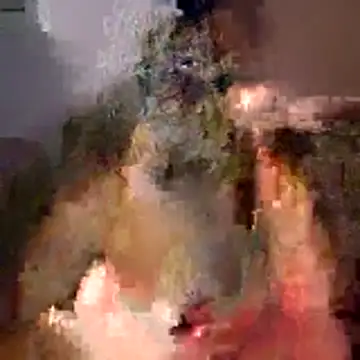 tubellaflor online show from 03/01/26, 10:23