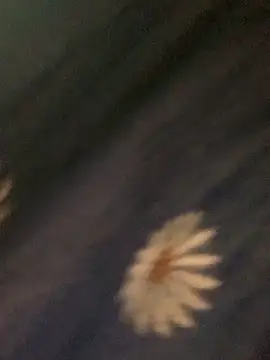 baeas-lan online show from 03/06/26, 10:06