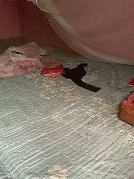 baeas-lan online show from 04/21/26, 02:04