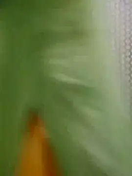 Jyoti hot online show from 03/07/26, 04:42