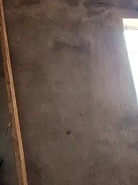 Snapshot of mollyboydick chatting on 03/08/26, 10:30 mollyboydick online show from 03/08/26, 10:30