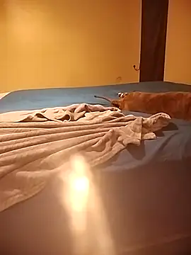 MissBella0969 online show from 04/04/26, 06:00