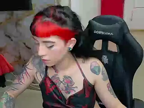 nova kitttyy online show from 02/20/26, 08:53