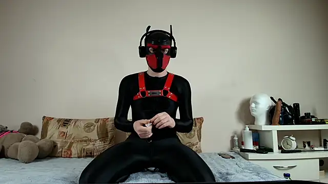 K9 GoodBoy online show from 04/26/26, 09:23