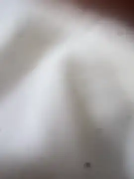 Jaybraconect online show from 02/21/26, 05:08