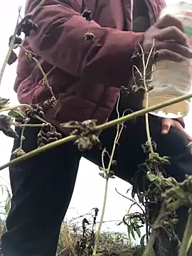 Nth5h online show from 03/11/26, 04:18