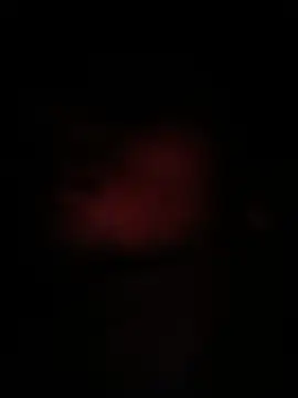 peanutbutteater online show from 06/09/26, 02:28