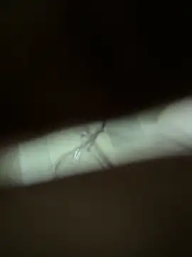 neekosam12 online show from 03/23/26, 05:06