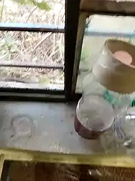 Snapshot of blackbeauty321 chatting on 02/26/26, 11:20 blackbeauty321 online show from 02/26/26, 11:20