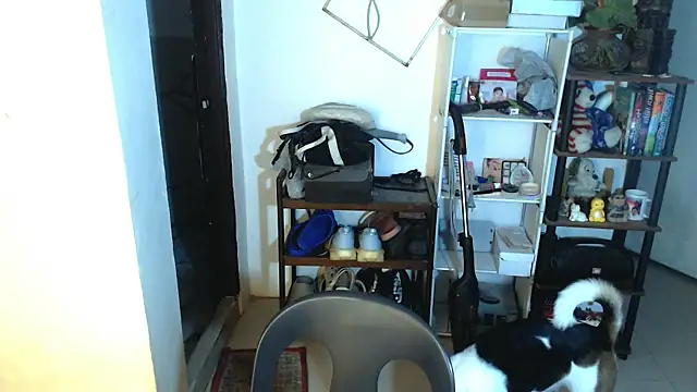 sweetasian zoe online show from 05/02/26, 04:12