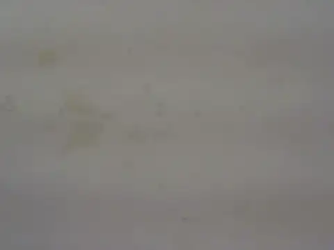 cute momo love online show from 05/29/26, 06:11