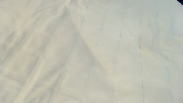 Ass Lovss online show from 05/23/26, 05:45