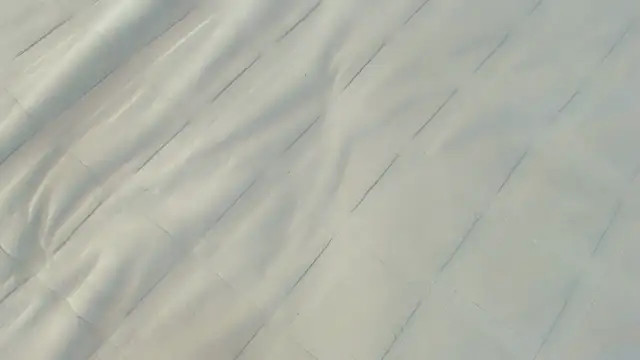 Ass Lovss online show from 06/12/26, 09:41