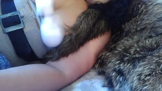 BunnyYT online show from 03/10/26, 11:59