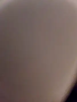 skynct2007 online show from 02/24/26, 05:38