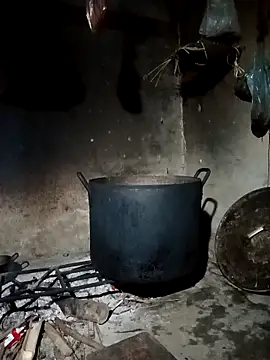 pic8800 online show from 03/31/26, 07:09