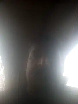 siva6703 online show from 03/07/26, 09:50