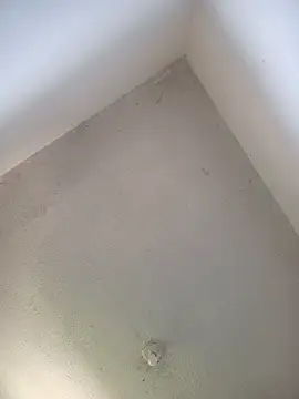 priscilaf online show from 04/19/26, 11:53