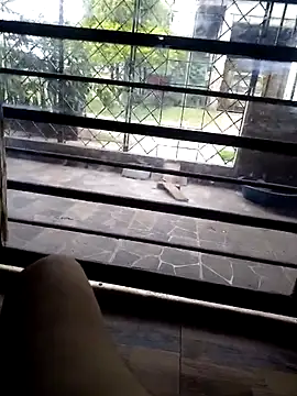 Snapshot of stivengaviria chatting on 03/06/26, 01:40 stivengaviria online show from 03/06/26, 01:40