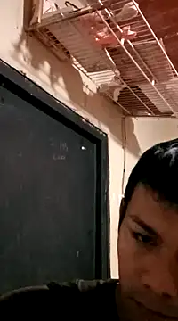 darwinmodell online show from 03/08/25, 03:56