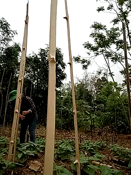 lyly sexx online show from 04/01/26, 02:01