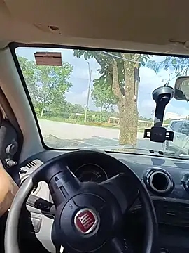 UrsoBissexualPauGrosso online show from 03/03/26, 06:36